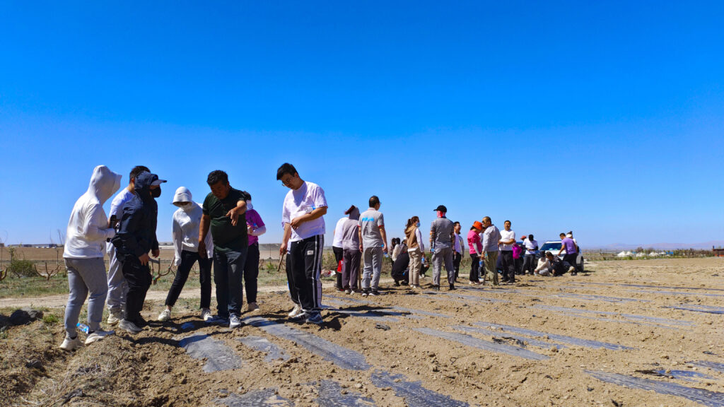 走进田园 播种希望|LD乐动体育物流春种团建活动