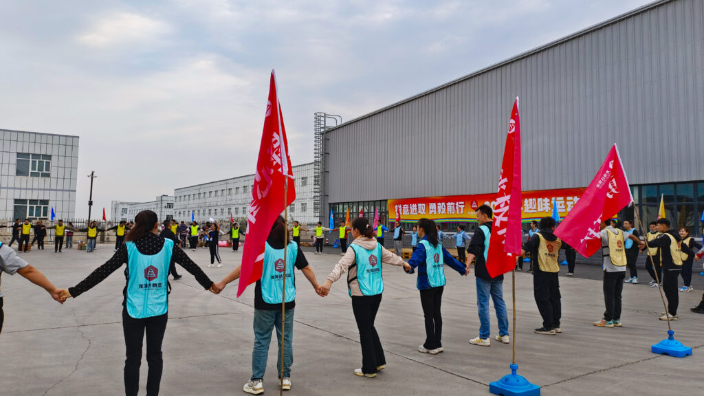 锐意进取 勇毅前行 | 新疆LD乐动体育物流趣味运动会