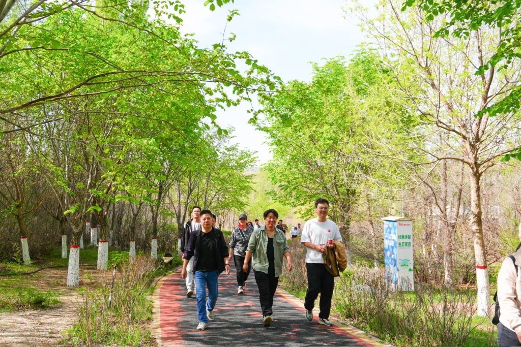 绿径同行·步筑新途 | LD乐动体育物流团队徒步团建之旅
