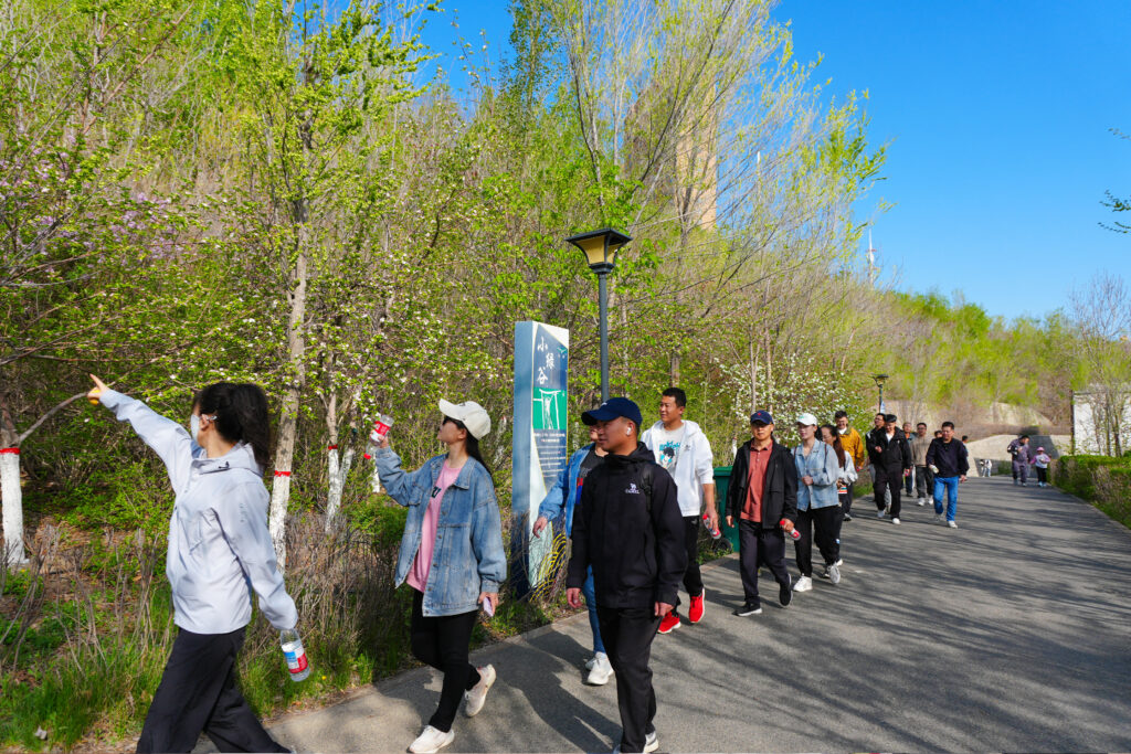 绿径同行·步筑新途 | LD乐动体育物流团队徒步团建之旅